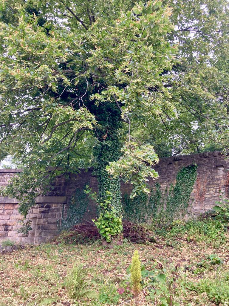 New Mills Central Station