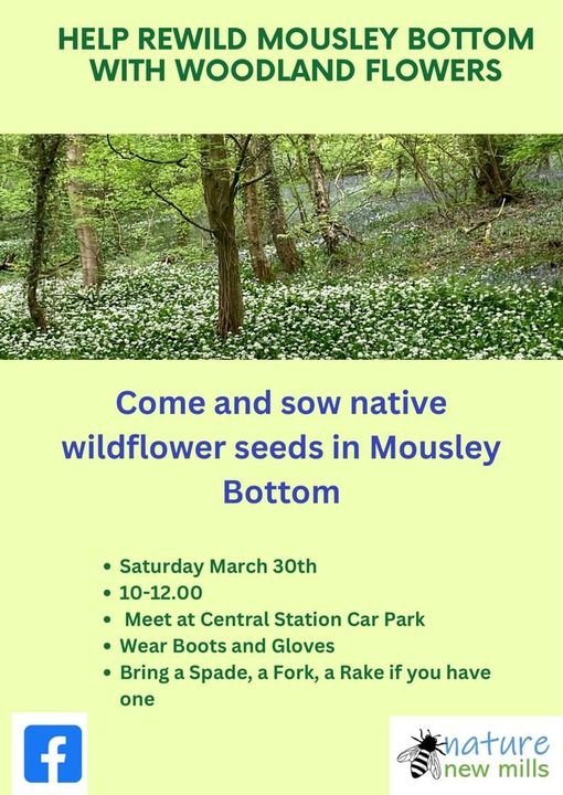 Help Rewild Mousley Bottom: Saturday March 30th, 10am-12