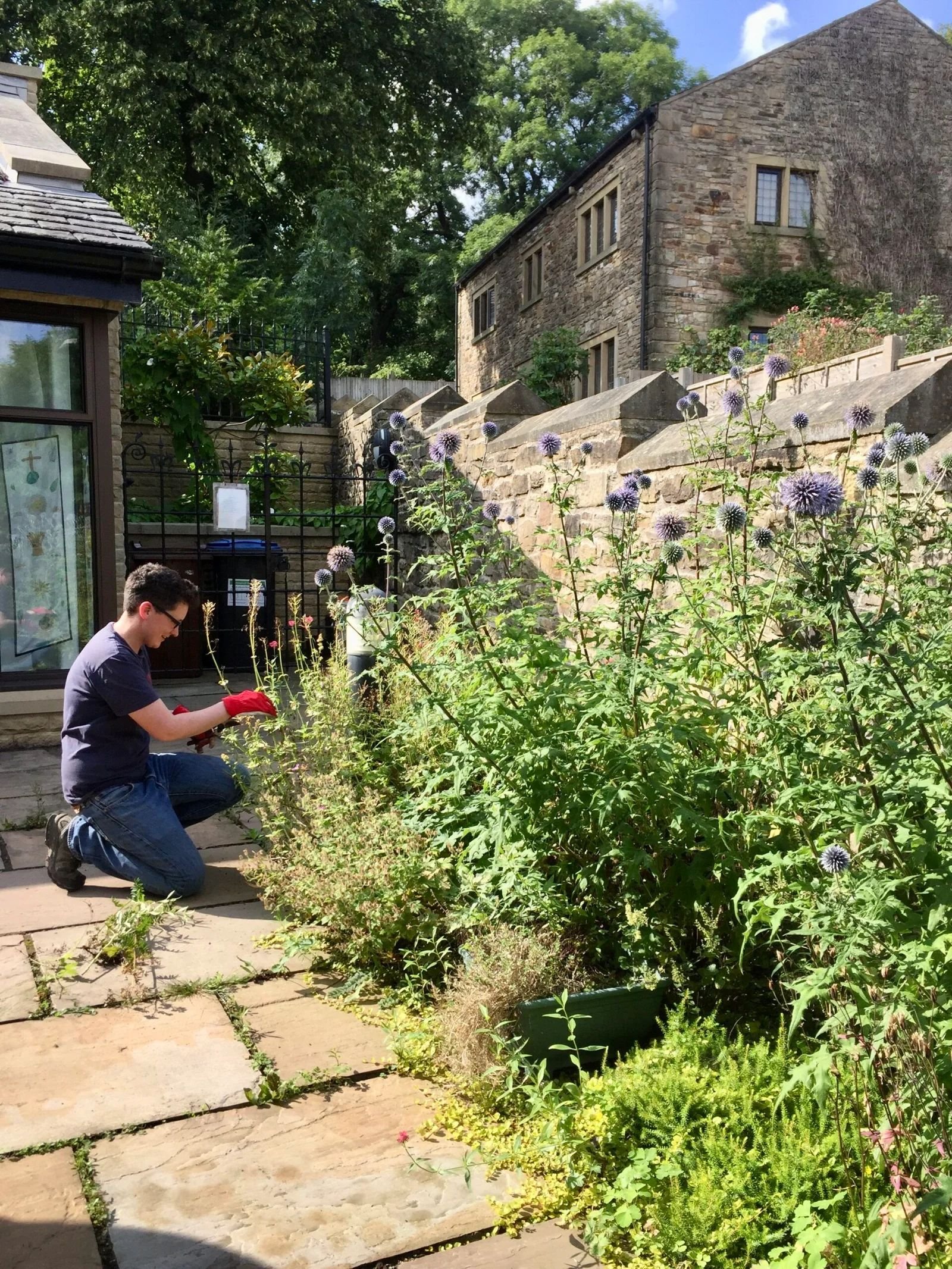 Spring Bank Pollinator Garden