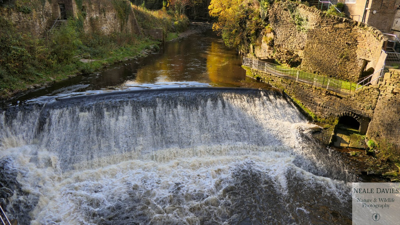 Torrs River, New Mills, High Peak