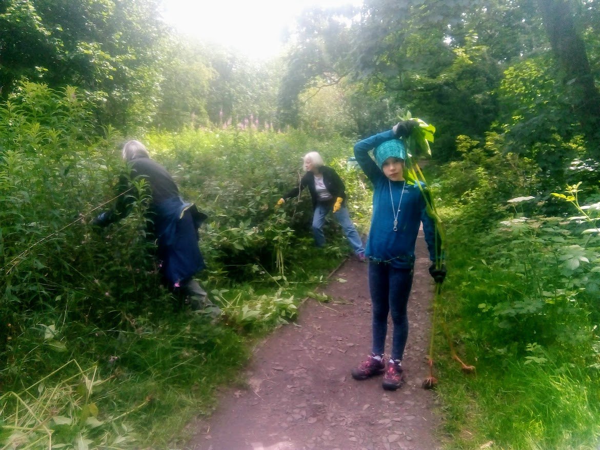 Balsam Bashing in Mousley Bottom, Sunday 9th June 3-5pm