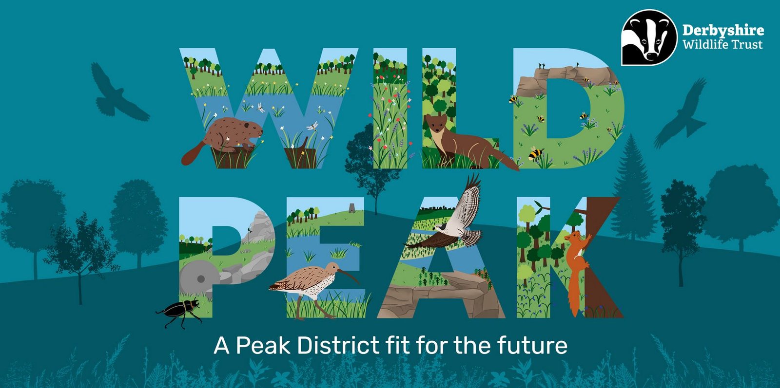 Wild Peak 'A Peak District fit for the future' flier