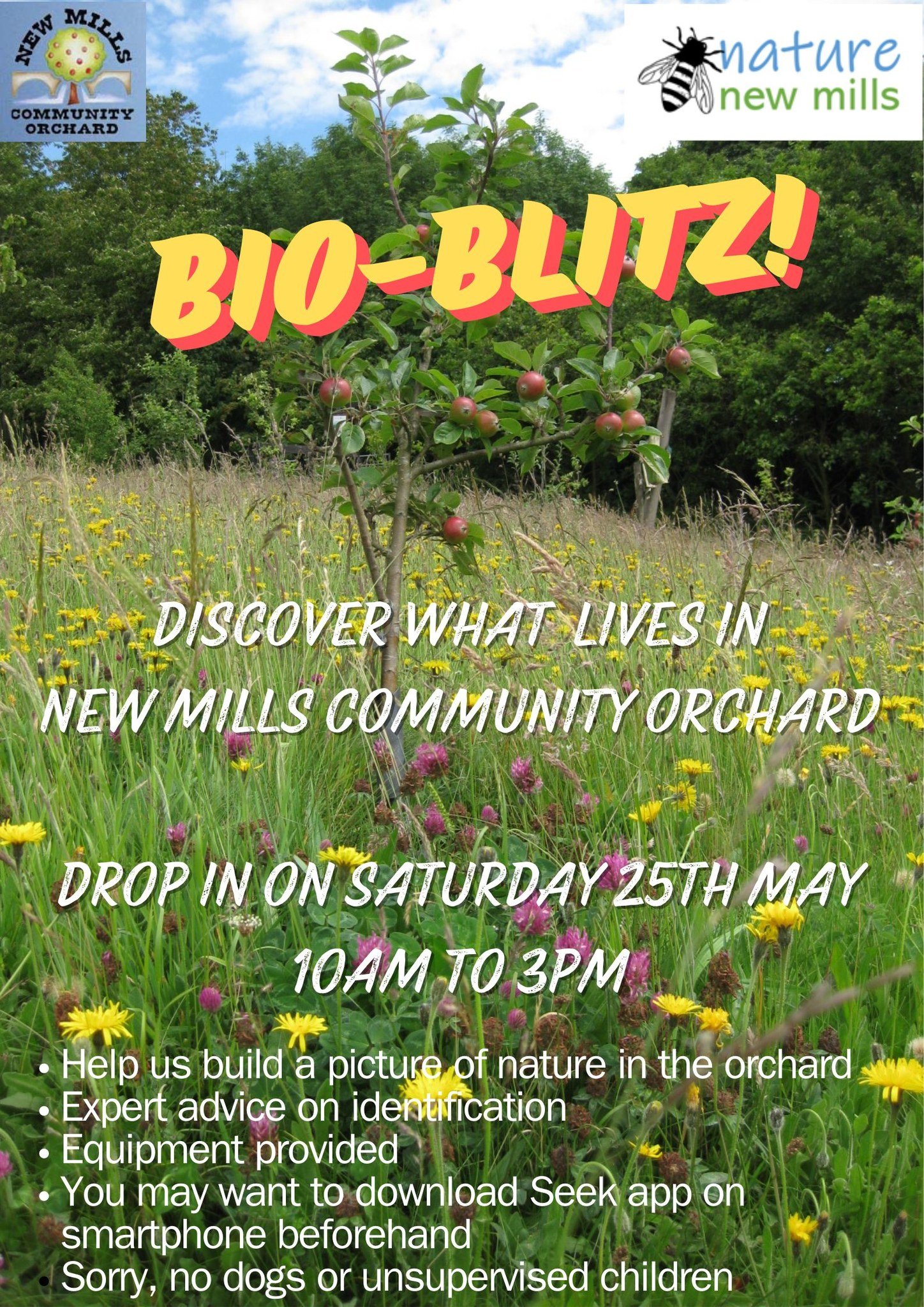 BioBlitz, New Mills Community Orchard, Saturday 25th May, 10am-3pm